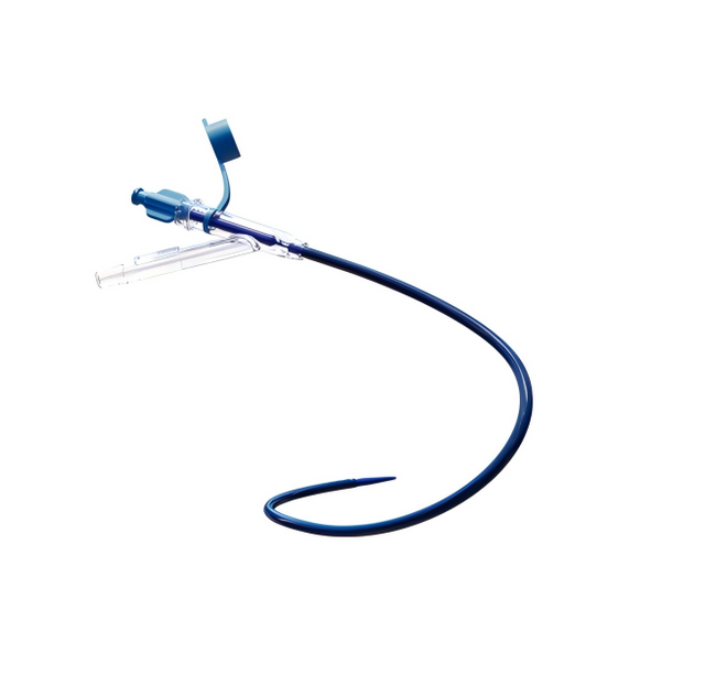 Ureteral Sheath (Steerable Tip)